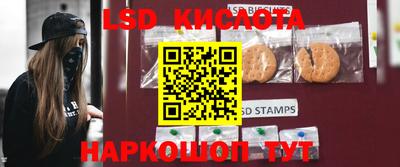 кокс Донской
