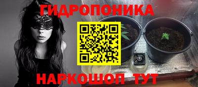 PSILOCYBIN Дубна