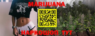 кокс Донской