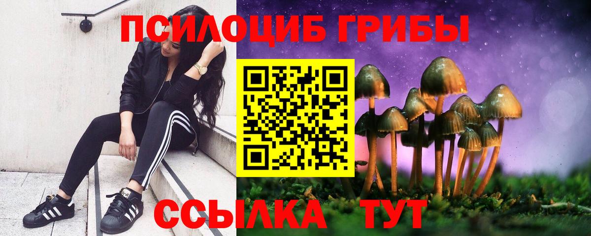 Мурино  Псилоцибиновые грибы мицелий  Вход с VPN 