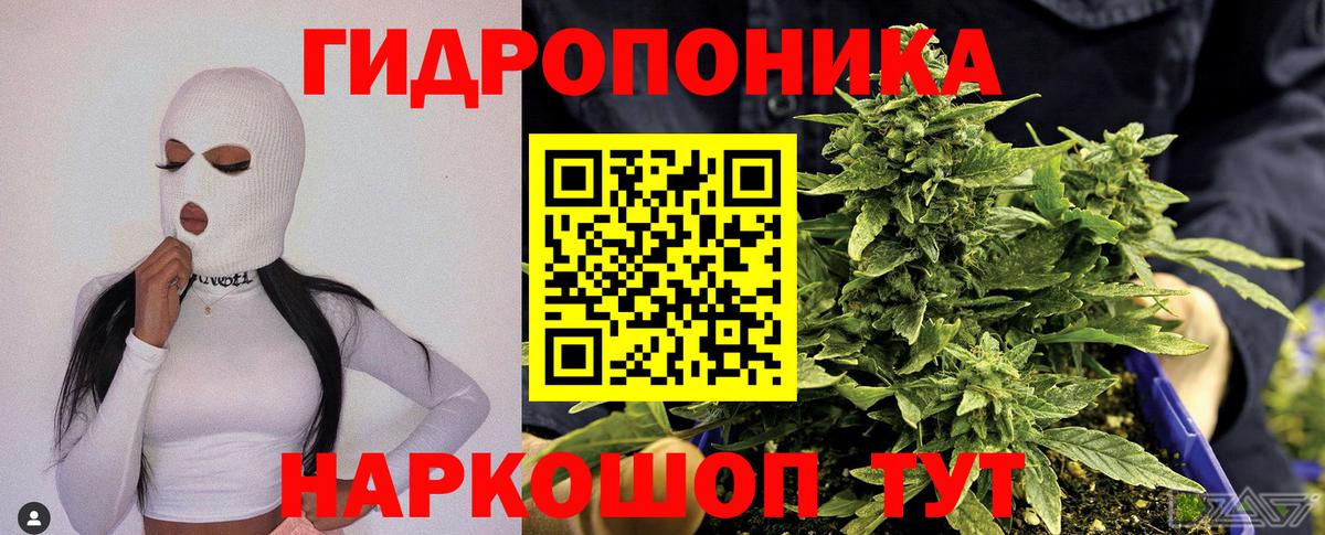 Каннабис план  Марихуана гибрид  Каннабис MAZAR  Мурино  Вход с VPN 